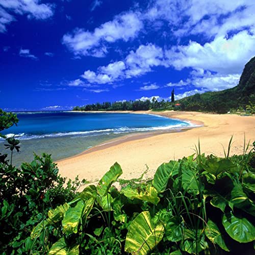 Kauai Hawaii Guide